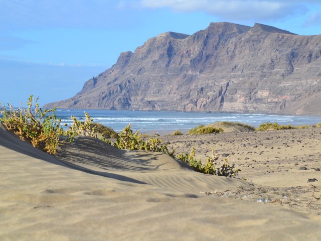 Un patio canario en Famara