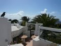 Casas