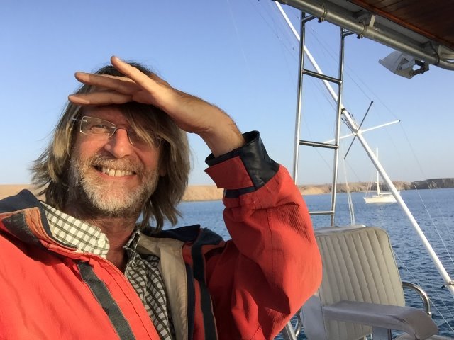 Boat trip with dolphins