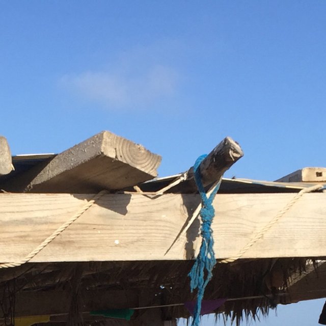 Pirate nest